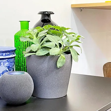 Claude Homes Marques *